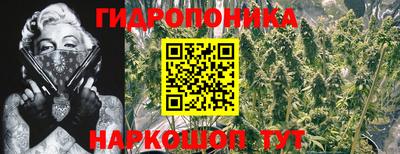 дмт Аша