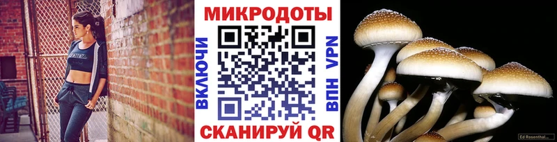 где продают наркотики Маркс Галлюциногенные грибы ЛСД