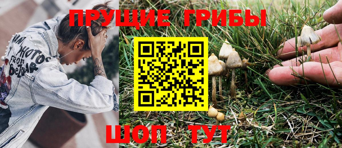 Маркс  Галлюциногенные грибы ЛСД  Вход с VPN 